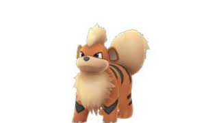 Growlithe cry sound effect gaming Pokémon [upl. by Ho]