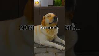 जिंदगी में कोई खुश नहीं cute hindufestival motivation instagram love trendingmemes travelling [upl. by Pol]