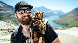 CLIMBING a MOUNTAIN with my BENGAL CAT [upl. by Alekram]