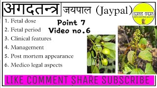 JAYPAL  Fatal dose Fatal period Sign and symptoms Treatment PMA MLA  Point 7  Agadtantra [upl. by Ainsworth]