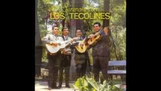 los tecolines exitos mix [upl. by Charron34]