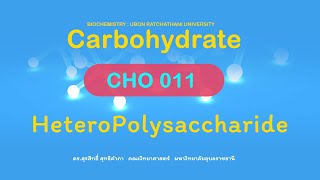 Carbohydrate  CHO 011   HeteroPolySaccharide Peptidoglycan Glycosminoglycan Proteoglycan [upl. by Atirak]