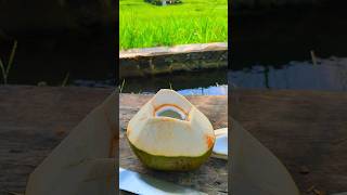 Slicing a green coconut is very satisfying asmr satisfying [upl. by Reginauld]