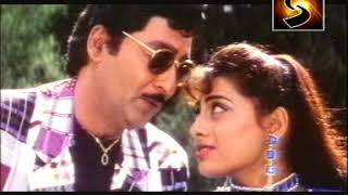 Chinadhani Cheeralo  Dorababu Movie Song [upl. by Eicram]