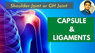 CAPSULE amp LIGAMENTS OF SHOULDER JOINT GLENOHUMERAL  PART2 [upl. by Enattirb752]