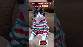 बिल्ली वाला cartoon shorts video shorts ytshorts trading comedy funny viral video cartoon 😁👍🙏 [upl. by Bausch251]