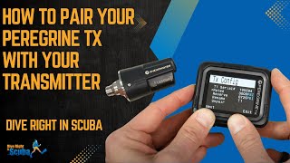 How to Pair Your Peregrine TX with Your Transmitter [upl. by Ohcamac]