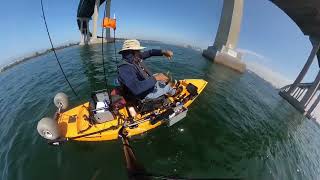 San Diego Bay Coronado Fishing July 20 2024 [upl. by Yzzik]