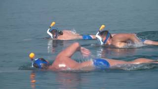 Dead Sea Swim Clip [upl. by Dell]