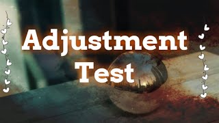 Adjustment Test in Hindi  scoring of adjustment test  समायोजन परीक्षण [upl. by Hamo535]