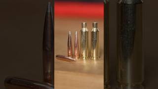 Hornady NEW 2025 Offerings in 25 caliber [upl. by Hepsoj912]