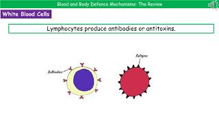 OCR Gateway A B638  Blood and Body Defence Mechanisms [upl. by Nerfe]