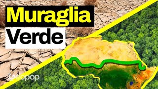 Un muro di 8 mila km in Africa per fermare lavanzata del deserto la Grande Muraglia Verde [upl. by Hermina429]