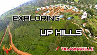 Exploring Up Hills  Talawakelle Tea Research InstituteTRI Tea Estate [upl. by Yaeger]