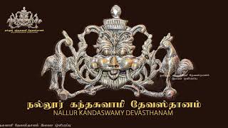 Nallur Kandaswamy Devasthanam 14th Day Evening Festival 2023 Free Live Broadcast [upl. by Thomasa43]