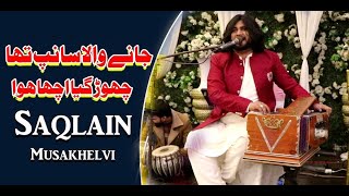 Jany Wala Sanp Tha Saqlain Musakhelvi Latest Saraiki amp Punjabi Songs 2023 [upl. by Yeldnarb]