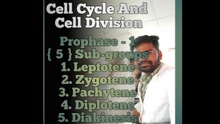 Meiosis 1  Prophase1  Leptotene  Zygotene  Pachytene  Diplotene  Diakinesis [upl. by Asilaj22]