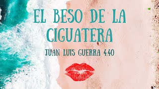 Yas Cepeda  El Beso De La Ciguatera feat Juan Luis Guerra 440  Radio Edit [upl. by Pelag]