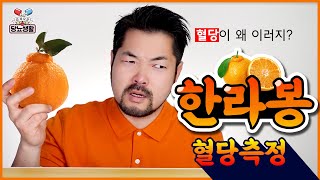 방심했다 【한라봉🍊】  10분씩 13번 혈당 측정 😭 [upl. by Neufer]