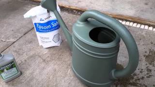 Fish fertilizer and epsom salt for the garden [upl. by Cyprio]