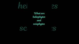 What are heliophytes and sciophytes biology botany bscbotany [upl. by Humfrey183]