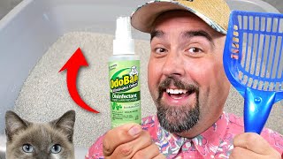 How to Clean a Litter Box amp Stop Litter Odors with OdoBan Cat Litter Deodorizer [upl. by Sprague857]