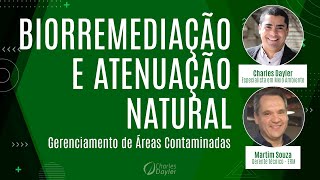 16  Biorremediação e Atenuação Natural  Gerenciamento de Áreas Contaminadas [upl. by Poree46]