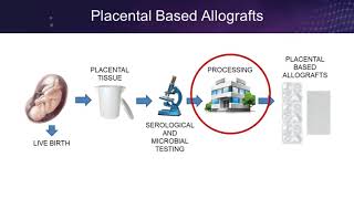 Placental Based Allografts From Womb to Wound [upl. by Muscolo907]