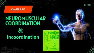 Chapter 17 Neuromuscular Coordination Part 1 kinesiology lectures [upl. by Pussej]