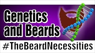 Beards and Genetics  TheBeardnecessities  Ep 24 [upl. by Dow]