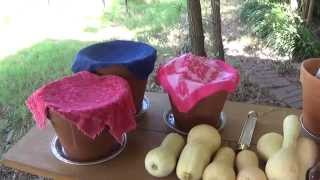 Using Zeer Pots To Keep Vegetables Cool Off Grid without Electricity [upl. by Tull788]