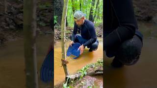 Gold Panning New Ground For Placer Gold Deposits Gold Prospecting NC [upl. by Roxanne805]