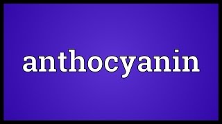 Anthocyanin Meaning [upl. by La Verne]