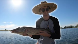 Mile High Fishing in Denver Colorado  Ep 1 [upl. by Okun]