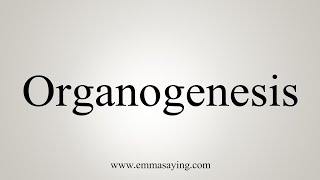 How To Say Organogenesis [upl. by Ellitnahc190]