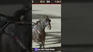 The Most Wins By A Standardbred Southwind Amazon shorts horse harness standardbred trotting [upl. by Amor318]