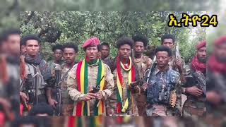 ካባድ ዉጊያ ቲሊሊ አሁን ፋኖ [upl. by Teraj721]