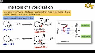 3305 Acidbase Properties of Heterocycles [upl. by Taylor520]