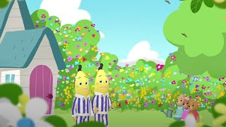 A Day In The Garden  Bananas In Pyjamas [upl. by Anaeel]