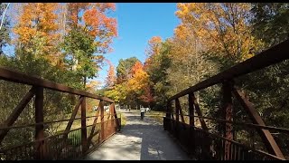 🍁Fall Colours Toronto🍁  Wilket Creek Park 2024 [upl. by Ednalrim]