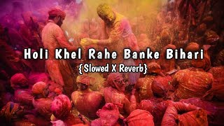 Holi Khel Rahe Banke Bihari Slowed X Reverb  Holi Special Song 2023  AS MUSIC PRODUCTION ✨ [upl. by Feliza]