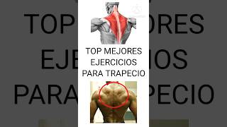 TOP MEJORES ejercicios para TRAPECIO  mejores ejercicios para hipertrofiar el trapecio [upl. by Temple]