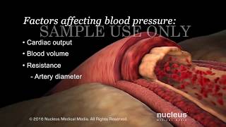 Understanding Basic Blood Pressure Control  Nucleus Health [upl. by Shien]