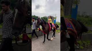 Horse video 🐎  horse horses ghoda cutebaby ytshorts viral trending shortsfeed ytvideo [upl. by Raddie399]