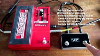 VZtec  FS2 MIDI con Whammy [upl. by Scholz935]