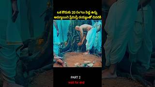 ⚡⚡💥Most Interesting amazing facts Telugu262⚡💥⚡teluguviraltrending shortsytshortsshort [upl. by Royo]