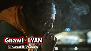 Gnawi  LYAM  Slowed amp Reverb [upl. by Bandler]