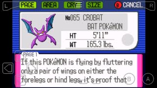 065 How to Evolve Golbat into Crobat in Pokemon Ruby [upl. by Enytsirhc]