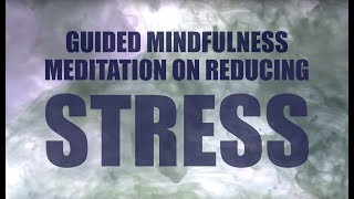 Guided Mindfulness Meditation on Stress  Guided Body Scan  Control Anxiety [upl. by Ahseeyt]