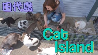 A Day on Japans CAT ISLAND TASHIROJIMA [upl. by Nicolais]